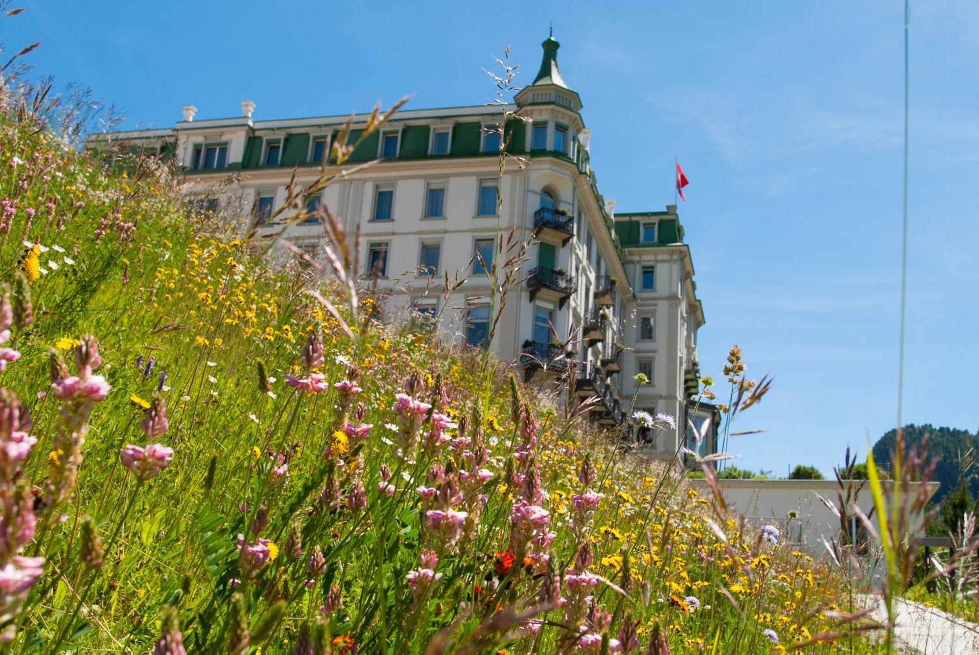 แกรนด์ โฮเต็ล โครเนนโฮฟ Hotel ปอนเตรสซีนา ภายนอก รูปภาพ